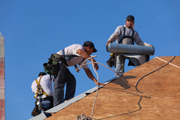 Best Local Roofing Companies  in Dansville, NY