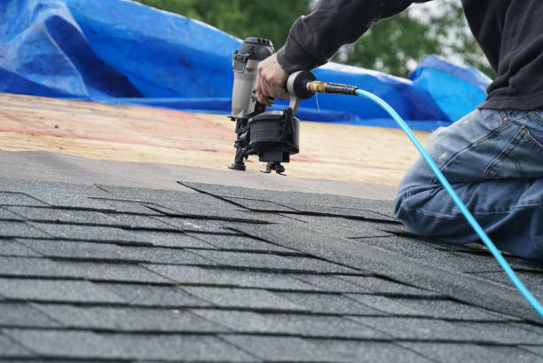 Best Flat Roof Repair Services  in Dansville, NY