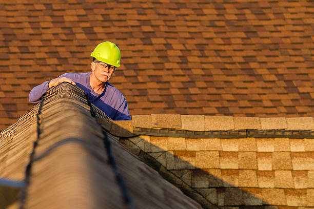 Best Roof Replacement Cost  in Dansville, NY